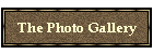 The Photo Gallery